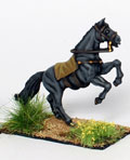 Medieval Stallion